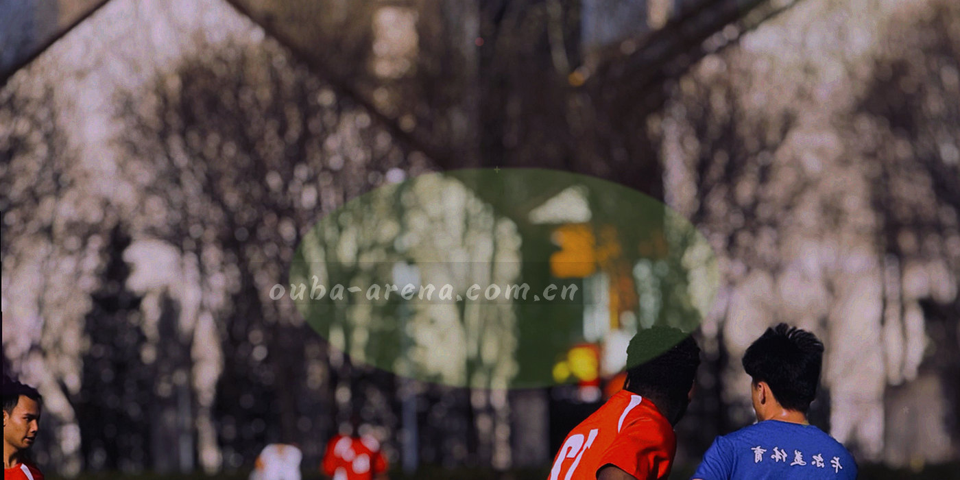 六段自左向右逐渐加深的墨色层叠示意，最右一段带点色标记，表示六个服务档位由浅入深的层级关系